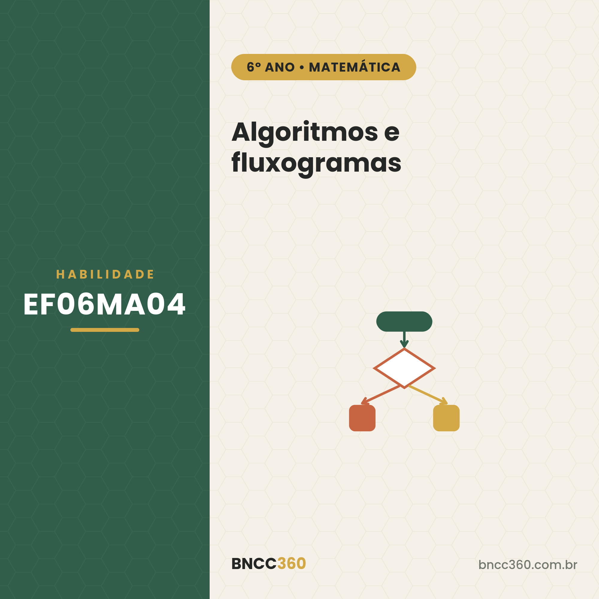 EF06MA04: algoritmos e fluxogramas (6º ano)