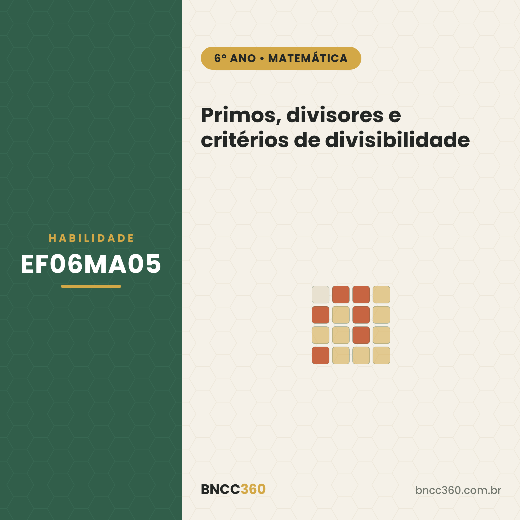 EF06MA05: primos, divisores e divisibilidade (6º ano)